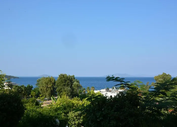 亚里士多德酒店 酒店 Epidaurus