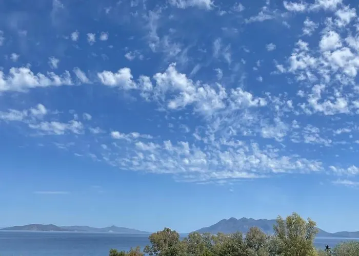 亚里士多德酒店