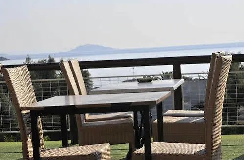 亚里士多德酒店