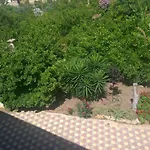 Aristotelis 2*