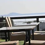 Aristotelis