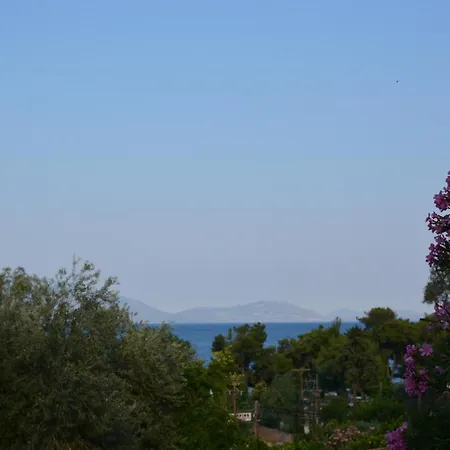 Aristotelis فندق
