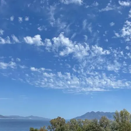 亚里士多德酒店